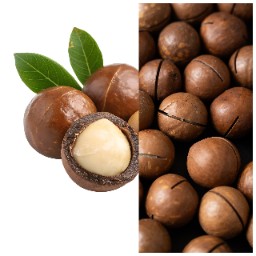 fa0d91264d01b92b86de12be1aa45f1a